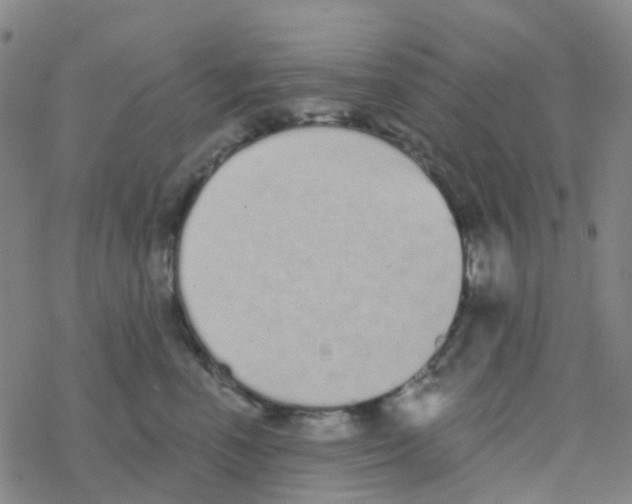 X0000076320666200610272005