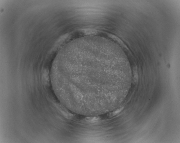 X0000076320667200610272005