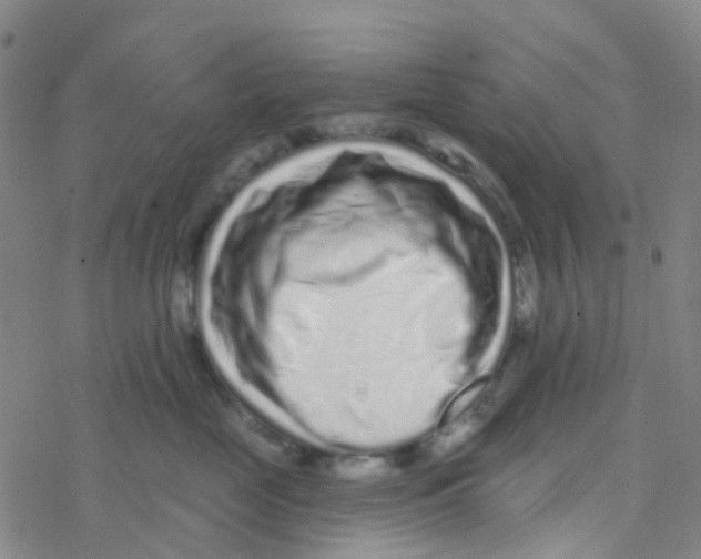 X0000076320669200610272006