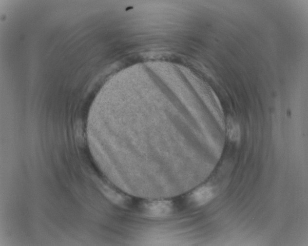 X0000076320670200610272006