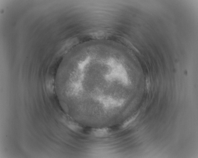 X0000076320671200610272006