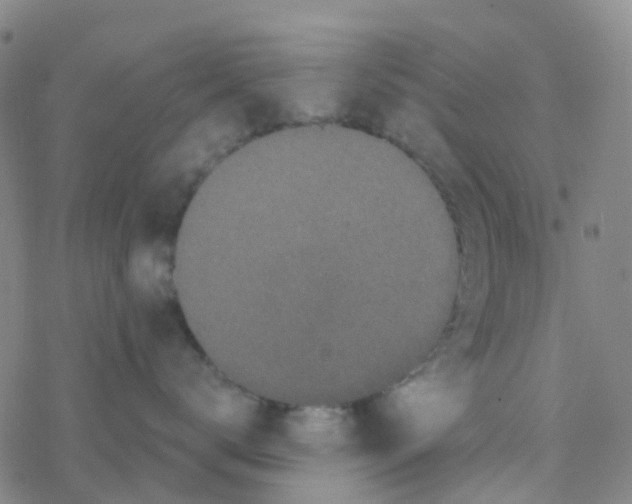 X0000076320672200610272006