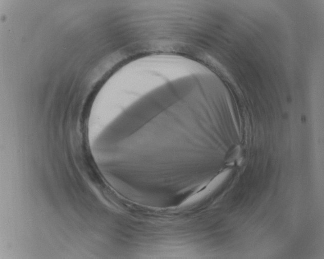 X0000076320674200610272005