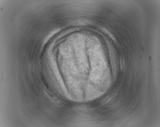 X0000076320675200610272005