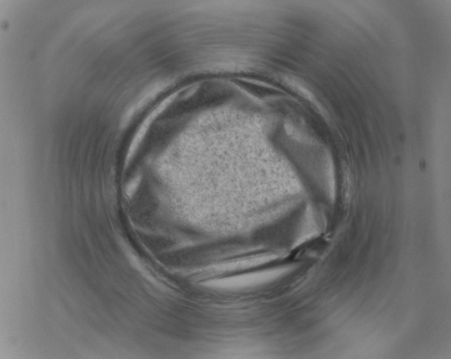 X0000076320677200610272005