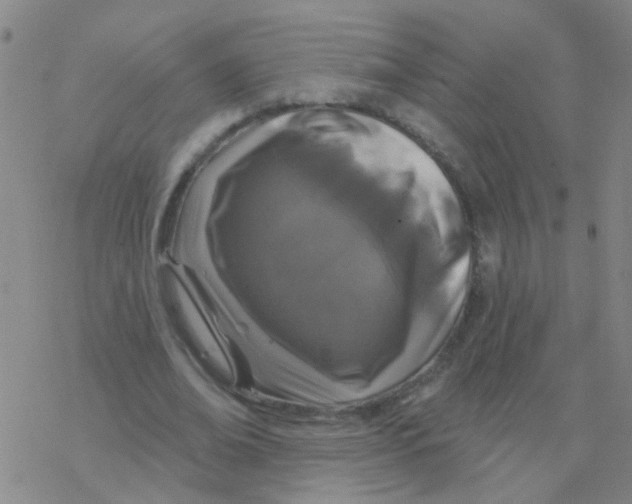 X0000076320678200610272005