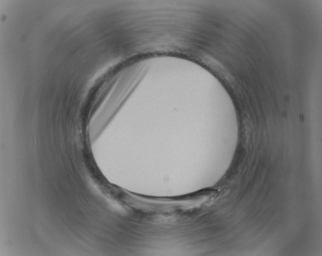 X0000076320680200610272005