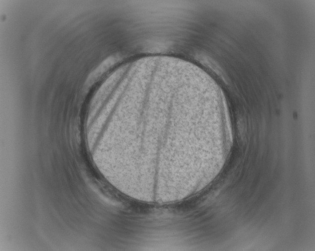 X0000076320682200610272005