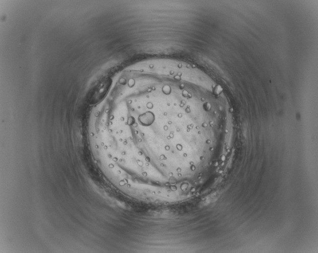 X0000076320688200610272005