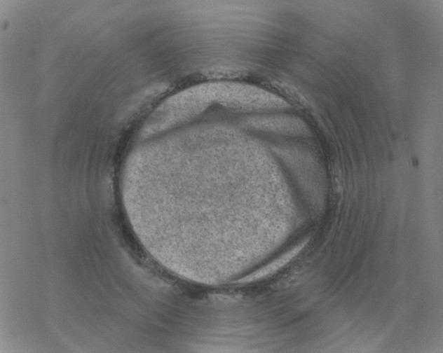 X0000076320690200610272004