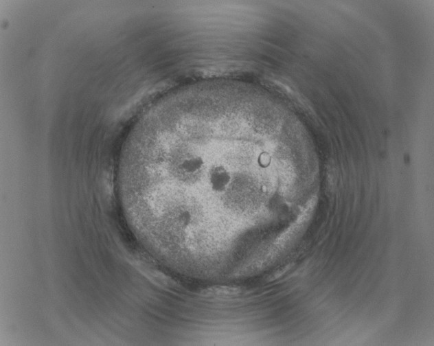 X0000076320691200610272004