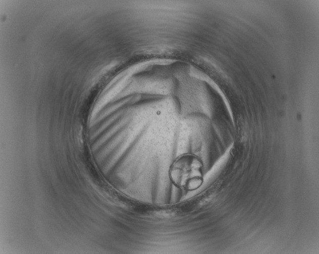 X0000076320692200610272004