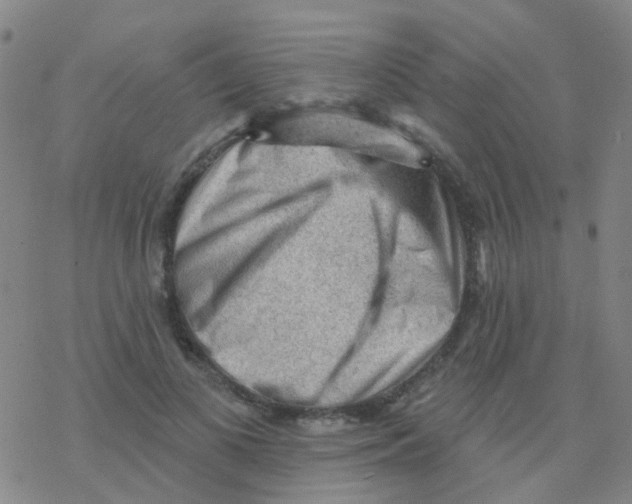 X0000076320693200610272004