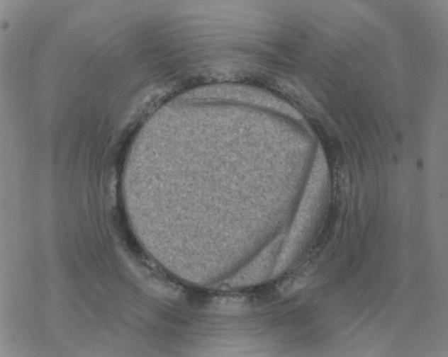 X0000076320694200610272004