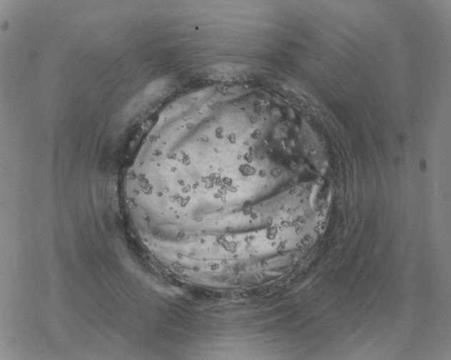 X0000076320696200610272004