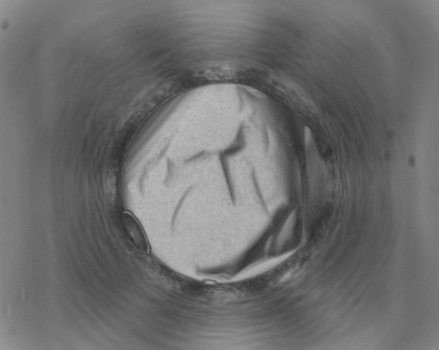 X0000076320697200610272004