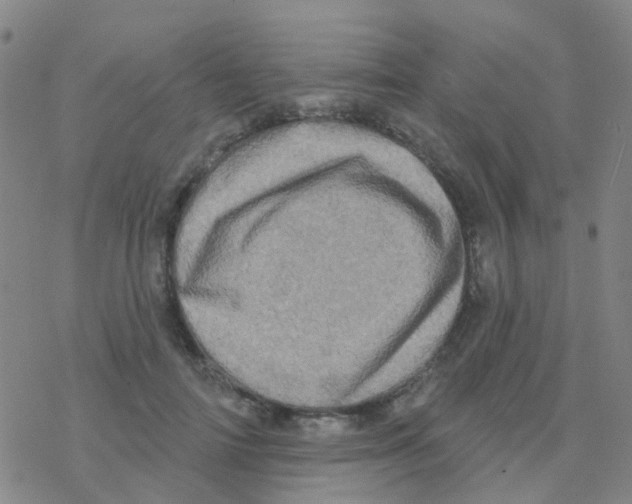 X0000076320698200610272004