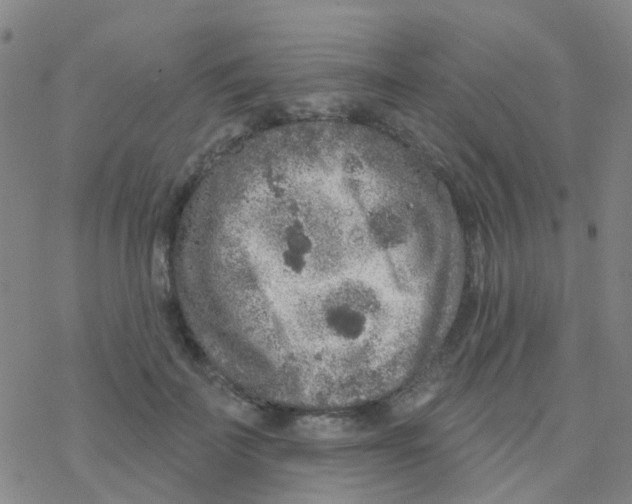 X0000076320699200610272004