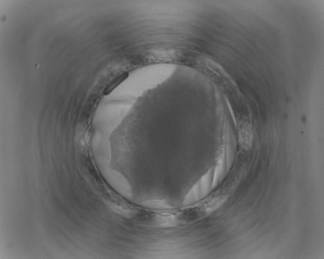 X0000076320701200610272004