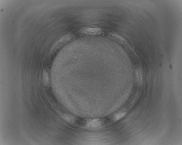 X0000076320705200610272004