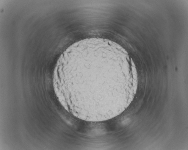 X0000076320707200610272004