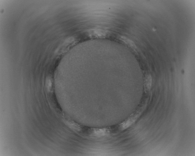 X0000076320709200610272004