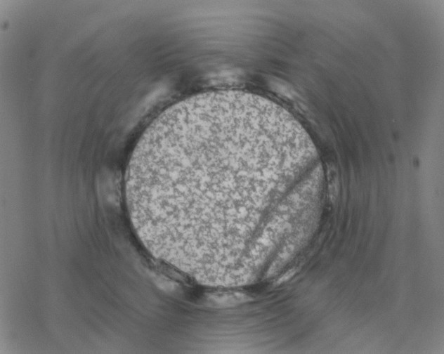 X0000076320712200610272004