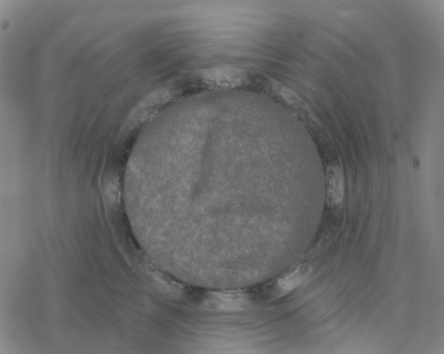 X0000076320713200610272004