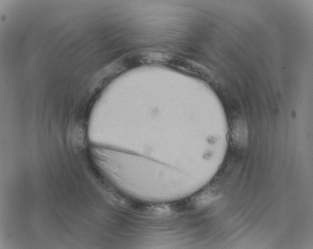 X0000076320715200610272004