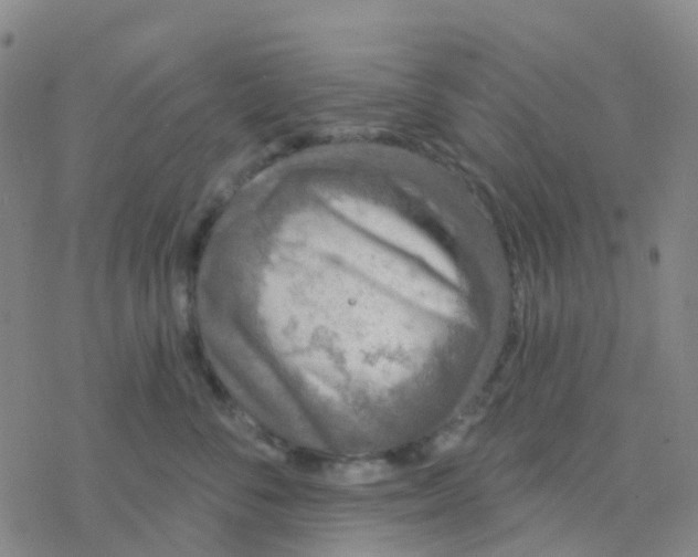 X0000076320716200610272004