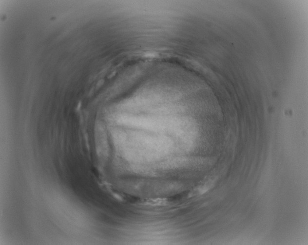 X0000076320720200610272004