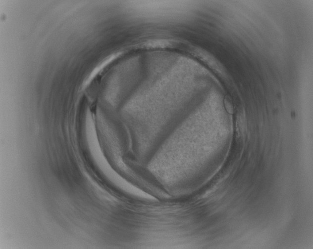 X0000076320722200610272003