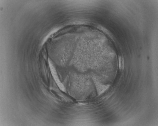 X0000076320723200610272003