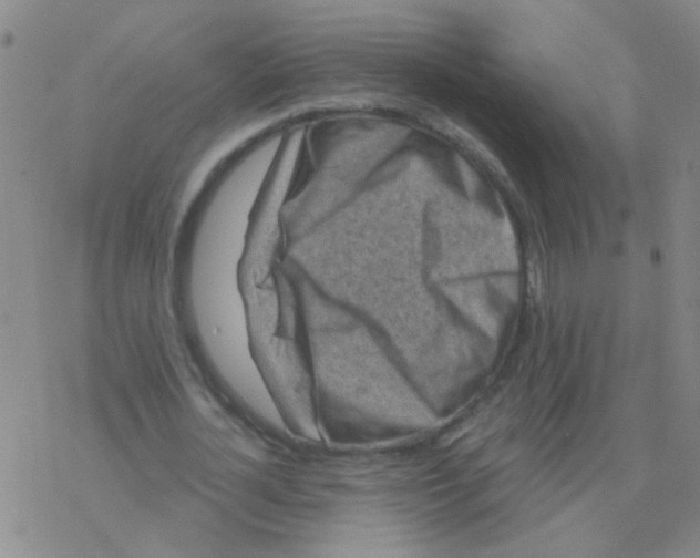 X0000076320724200610272003