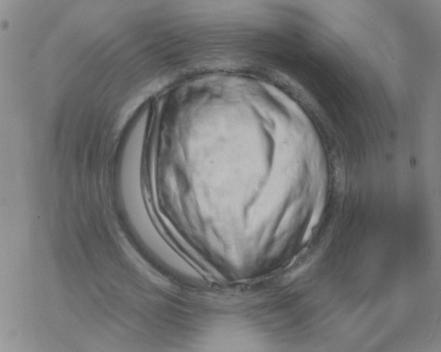 X0000076320725200610272003