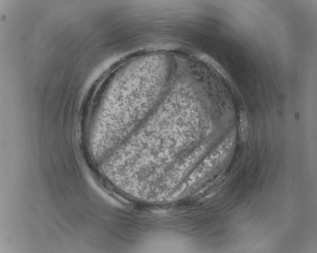 X0000076320726200610272003