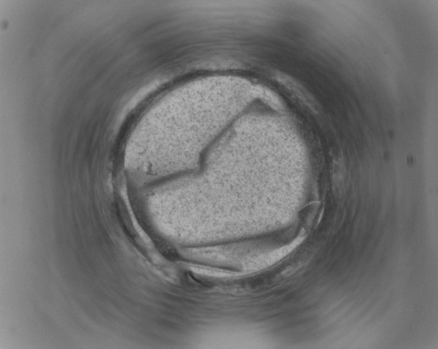 X0000076320727200610272003