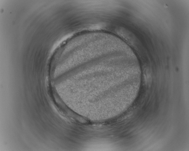 X0000076320728200610272003