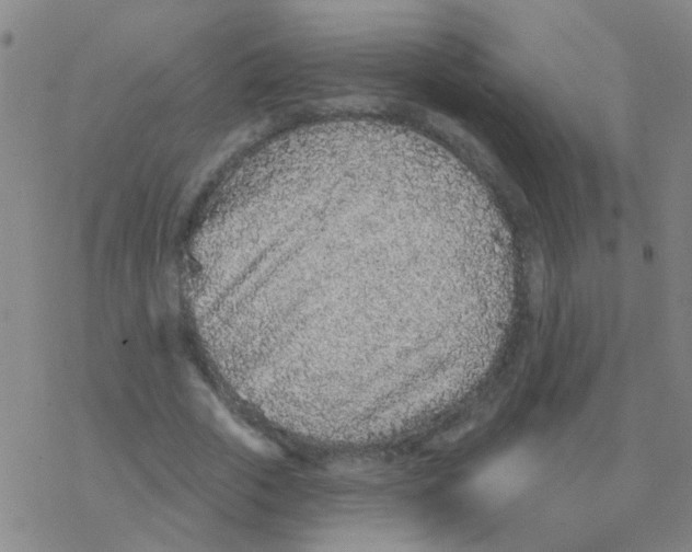 X0000076320729200610272003