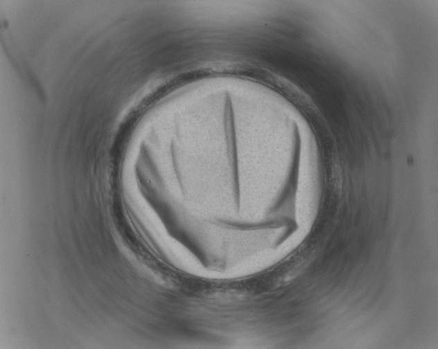 X0000076320730200610272003