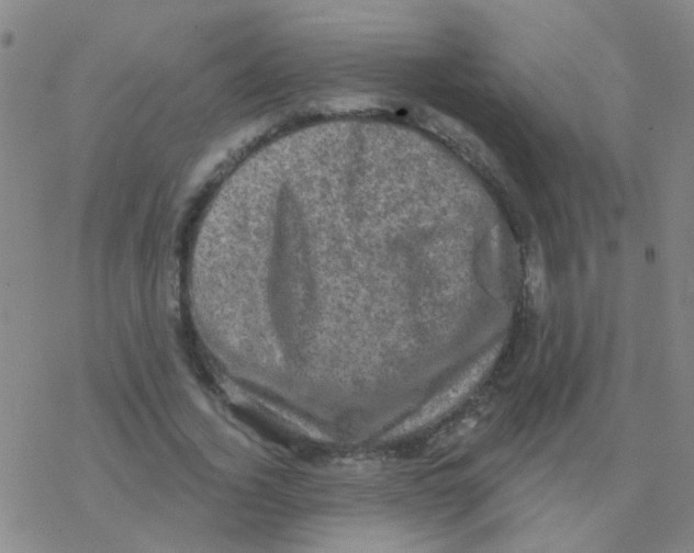 X0000076320732200610272003