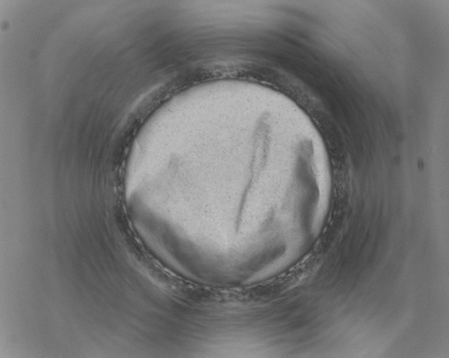 X0000076320733200610272003