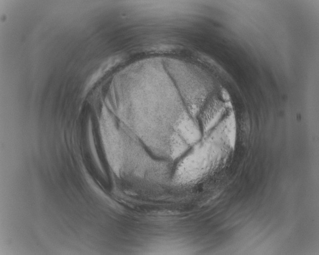 X0000076320734200610272003