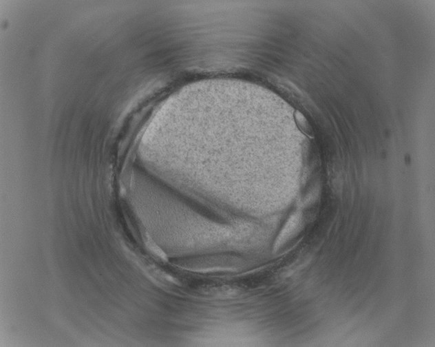 X0000076320735200610272003