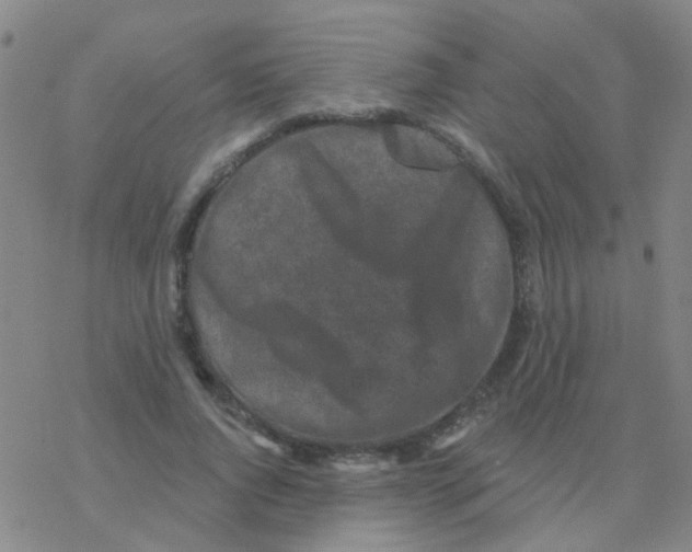 X0000076320736200610272003