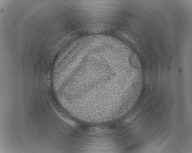 X0000076320737200610272003