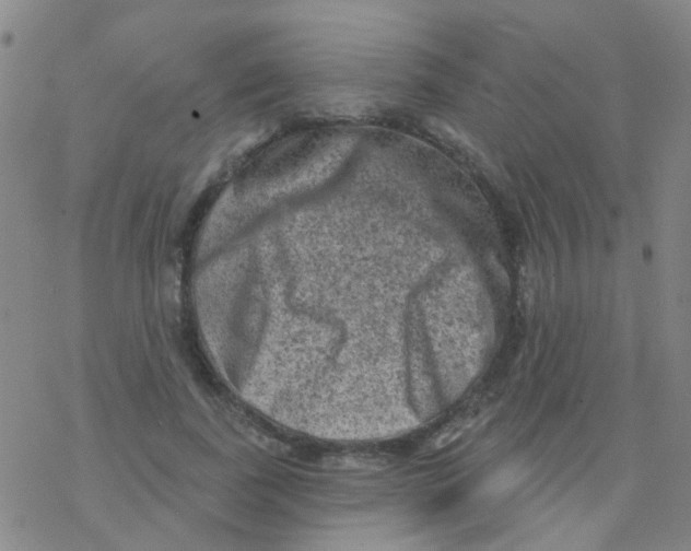 X0000076320739200610272004