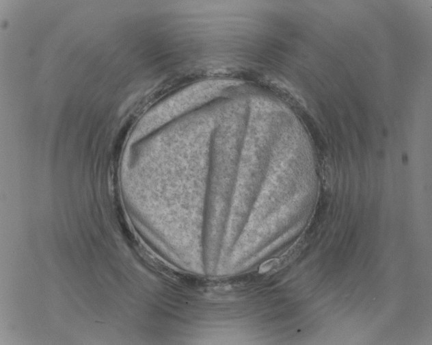 X0000076320740200610272004