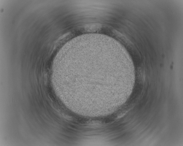 X0000076320741200610272004