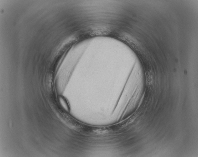 X0000076320742200610272004